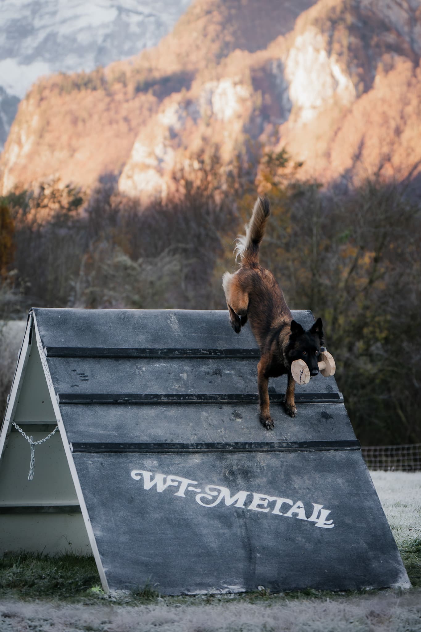 Schweizer Meisterschaft Impression 2