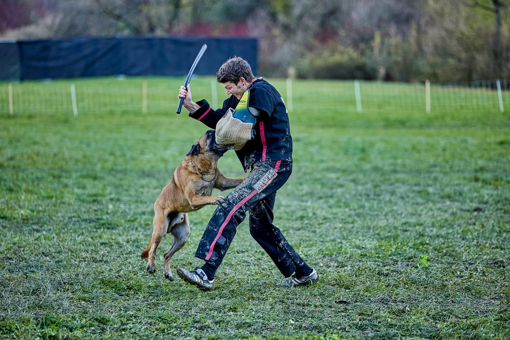 Schweizer Meisterschaft Impression 5