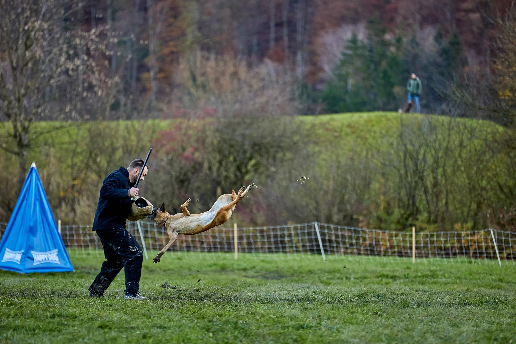 Schweizer Meisterschaft Impression 6