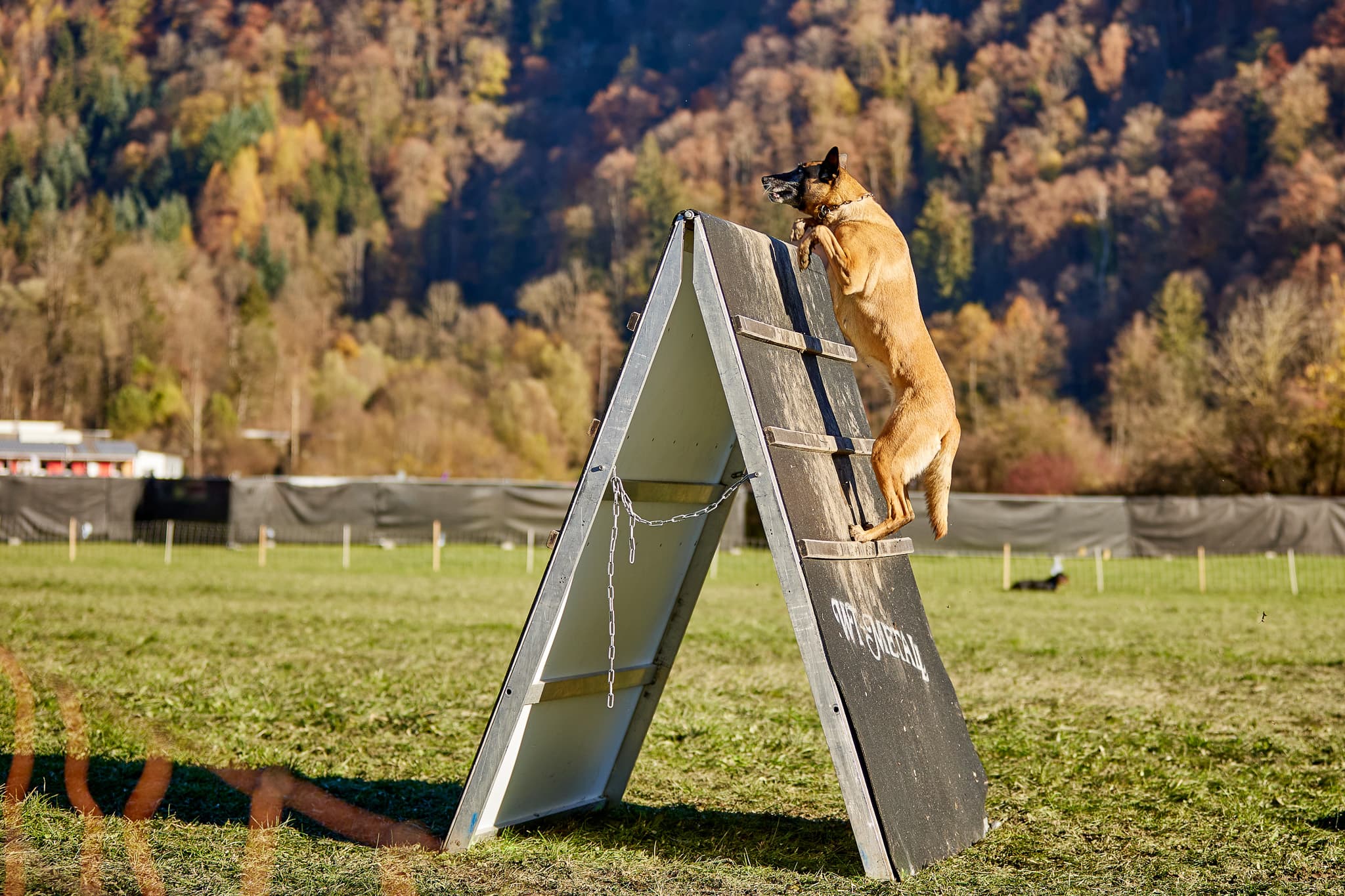 Schweizer Meisterschaft Impression 8