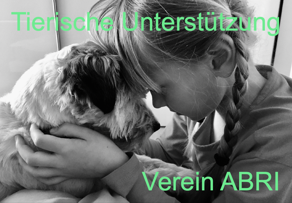 Therapiehund im Einsatz