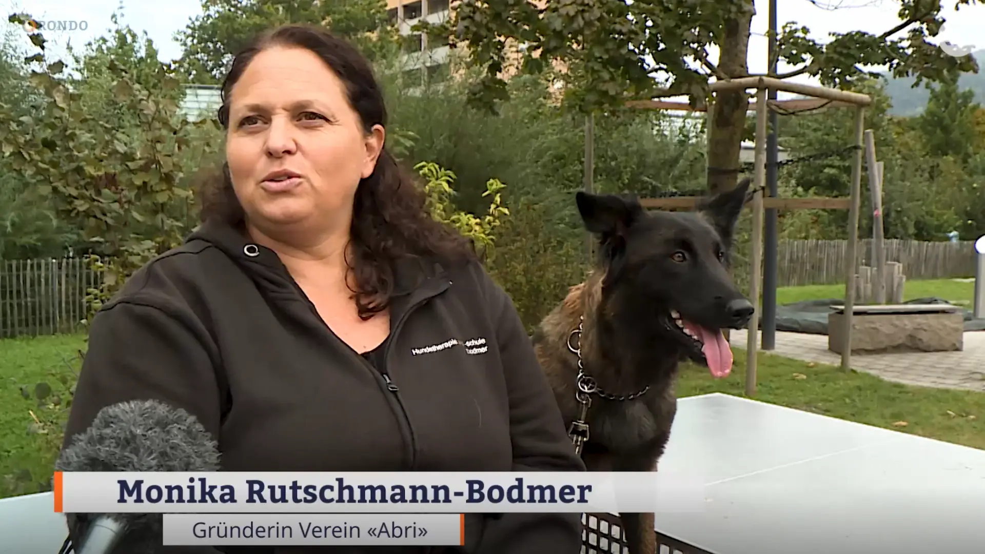 Therapiehunde im Einsatz