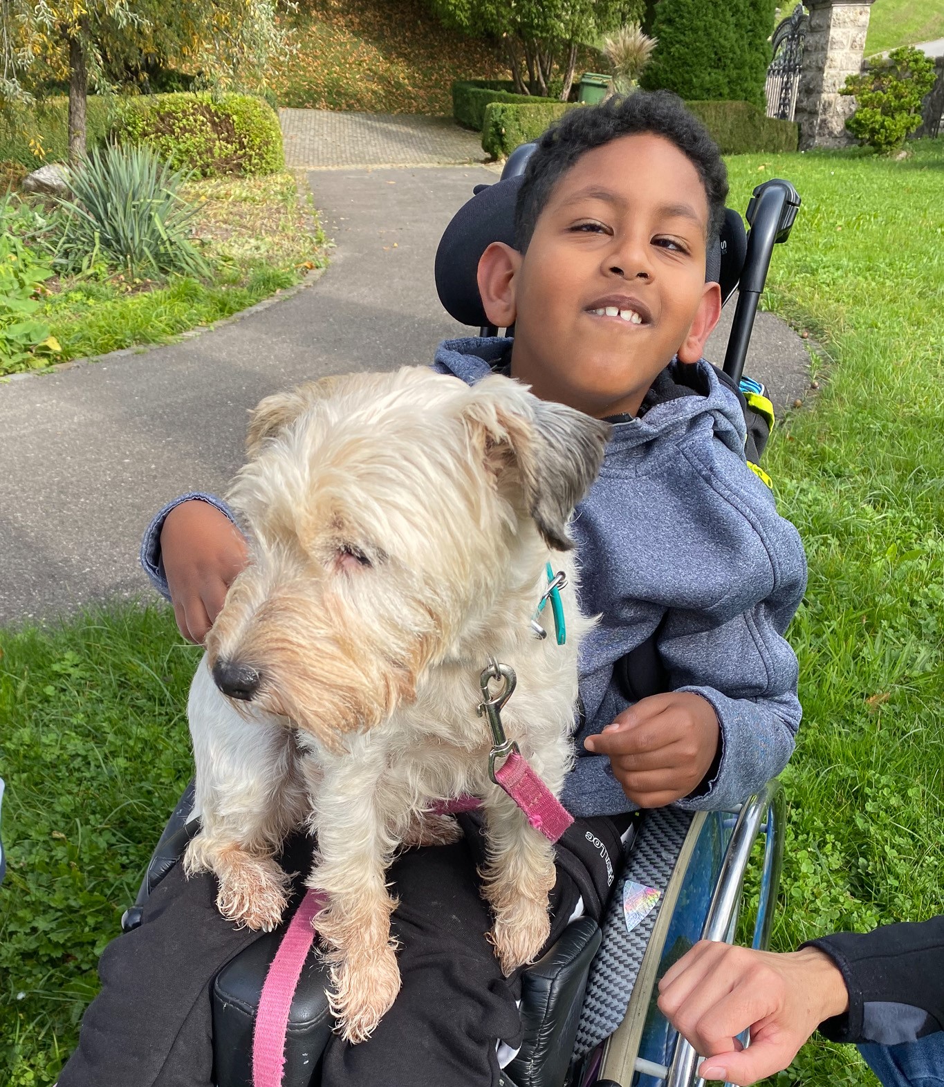 Therapiehund mit Kind