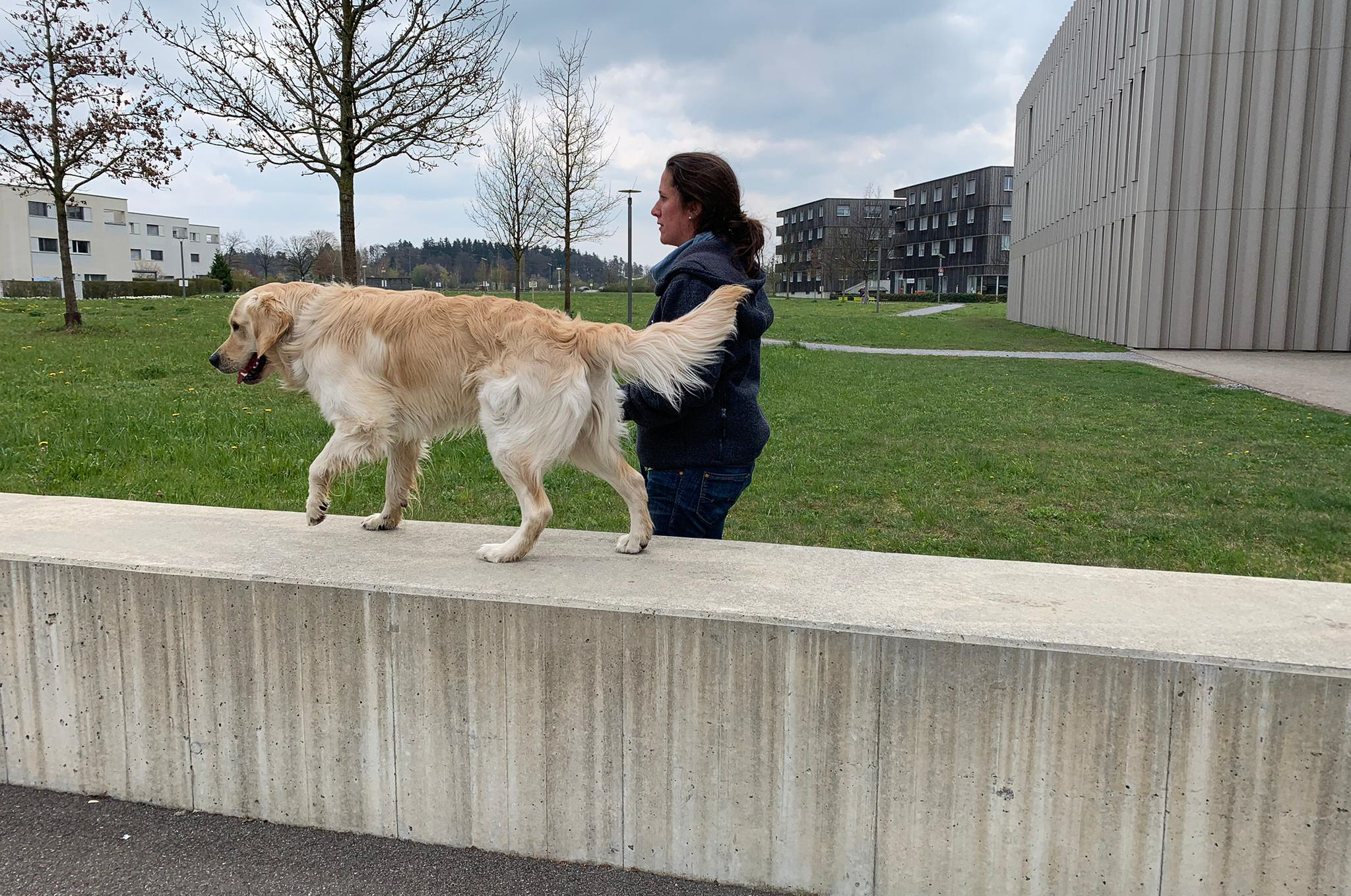 Familienhunde1