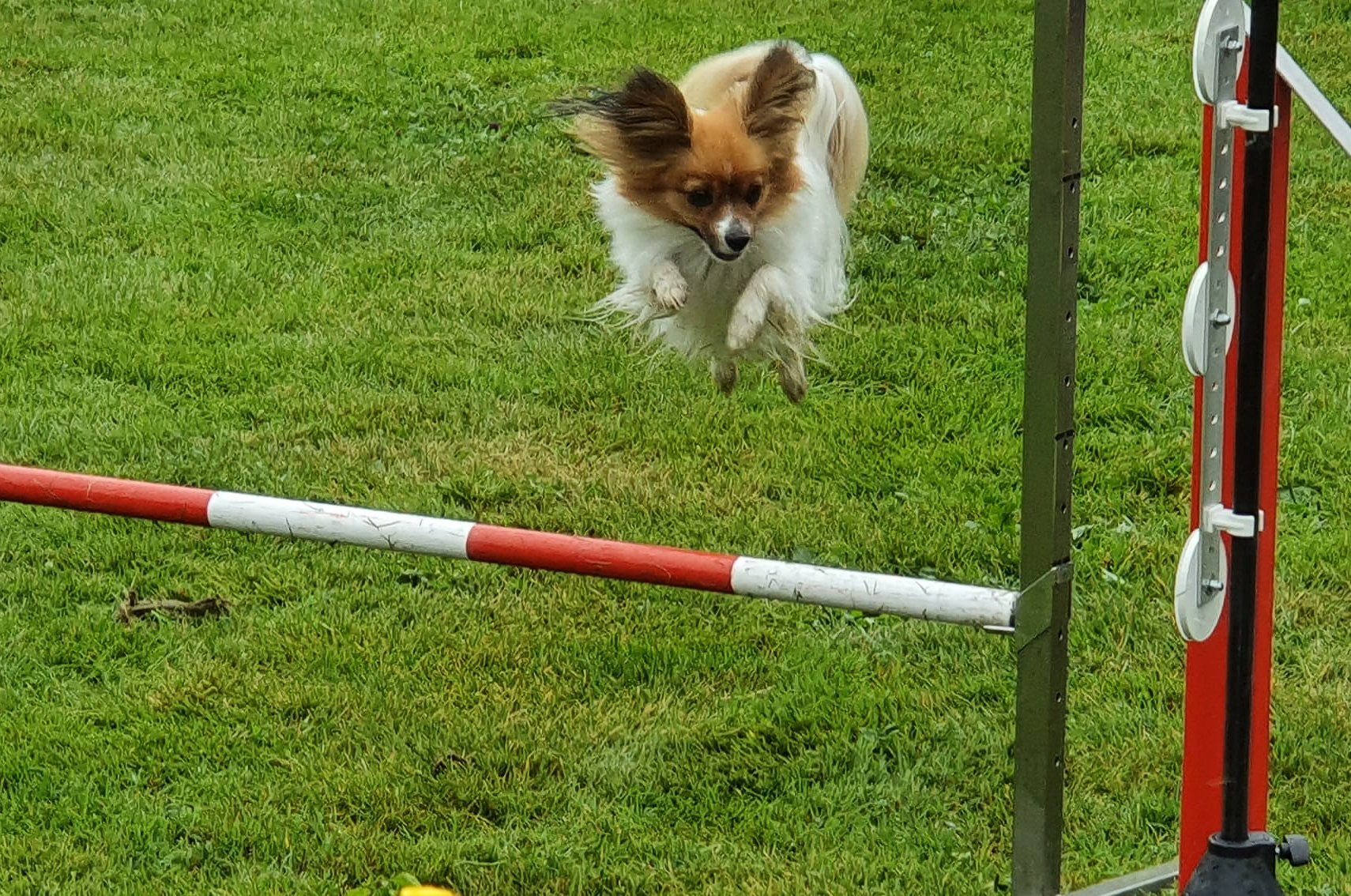 Jumping