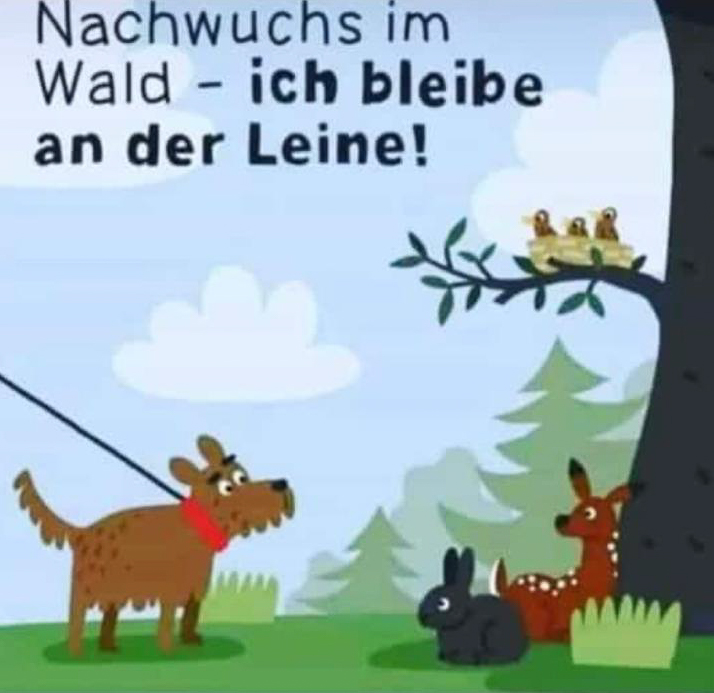 Hunde an der Leine
